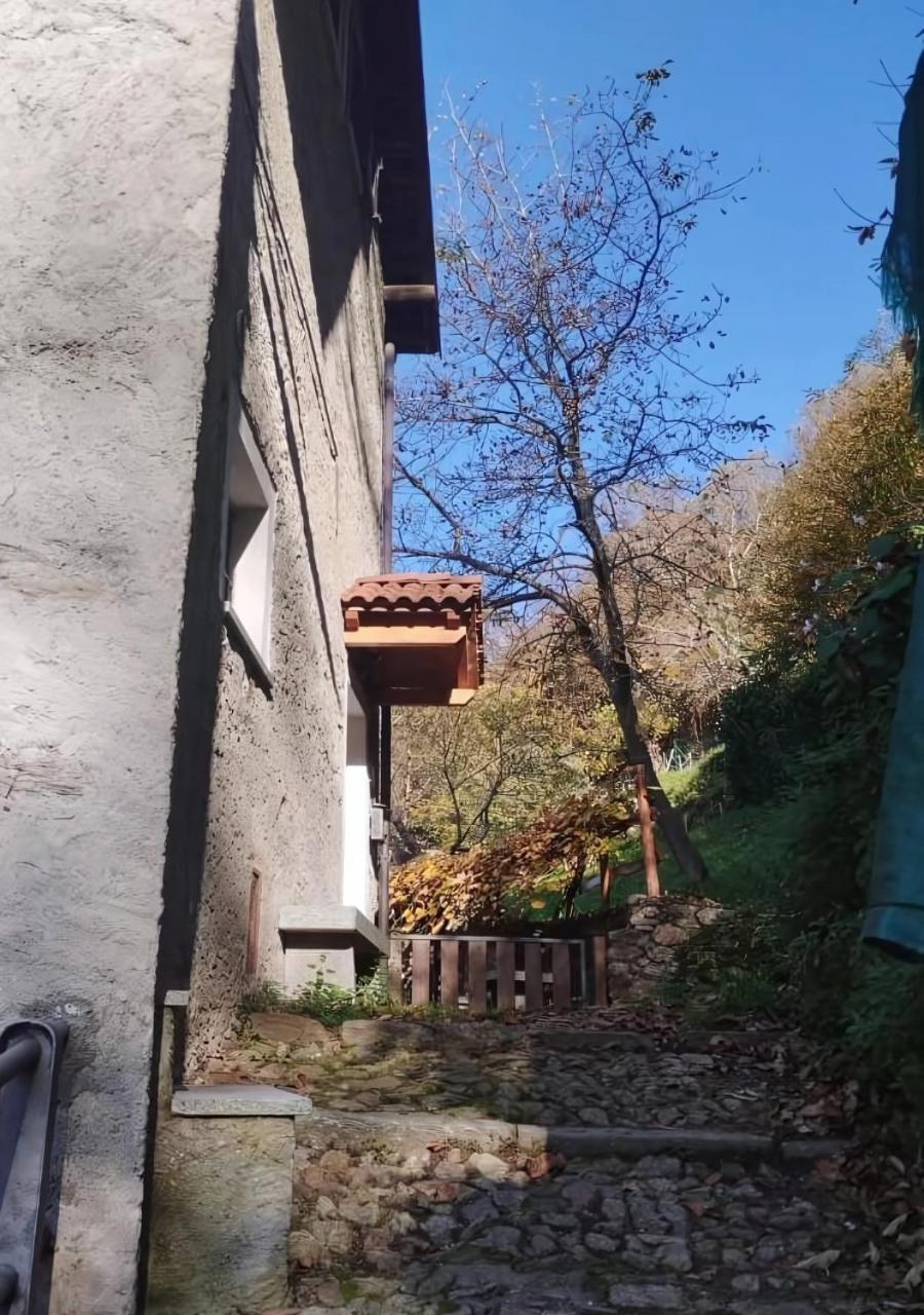 Alpaca'S House: Green, Animals & Lake View Bellano Eksteriør billede